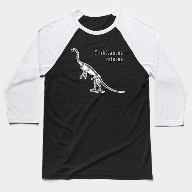 🦖 Fossil Skeleton of Anchisaurus colurus Dinosaur Species Baseball T-Shirt by Pixoplanet